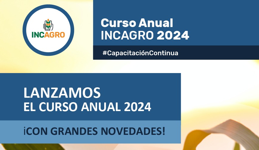 Curso Anual 2024: Interactivo y con Inteligencia Artificial